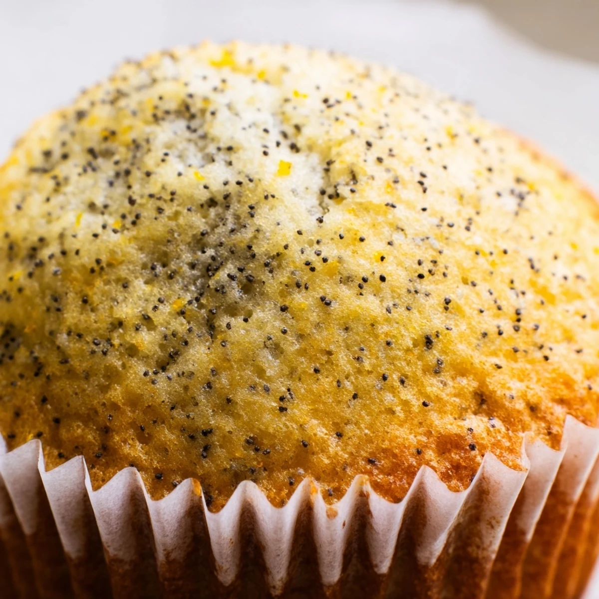 Moist lemon poppy seed muffins flecked with zest served on a white plate